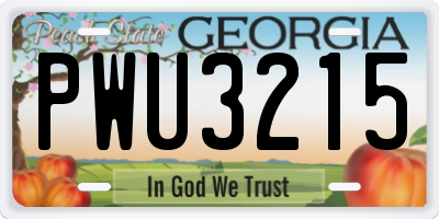 GA license plate PWU3215