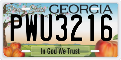 GA license plate PWU3216