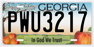 GA license plate PWU3217