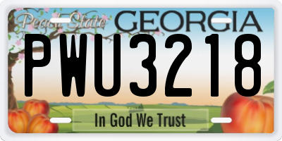 GA license plate PWU3218