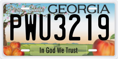 GA license plate PWU3219