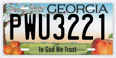GA license plate PWU3221