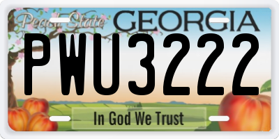 GA license plate PWU3222