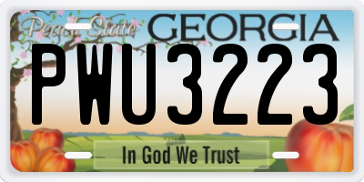 GA license plate PWU3223