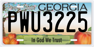GA license plate PWU3225