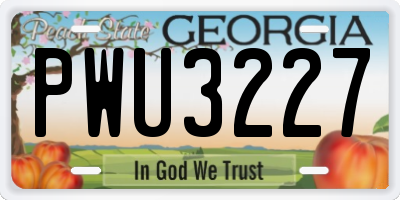 GA license plate PWU3227