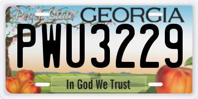 GA license plate PWU3229