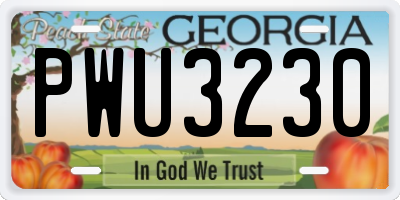 GA license plate PWU3230