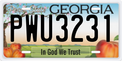 GA license plate PWU3231