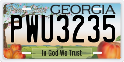 GA license plate PWU3235