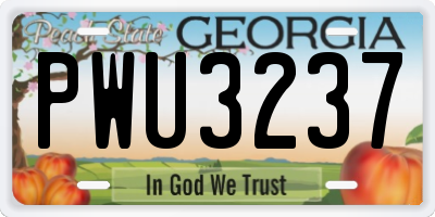 GA license plate PWU3237