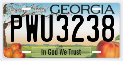 GA license plate PWU3238