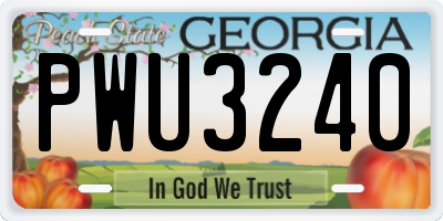 GA license plate PWU3240