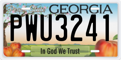 GA license plate PWU3241