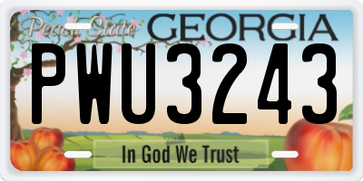GA license plate PWU3243