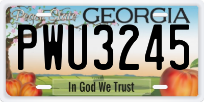 GA license plate PWU3245