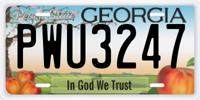 GA license plate PWU3247