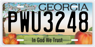GA license plate PWU3248