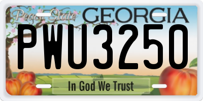 GA license plate PWU3250