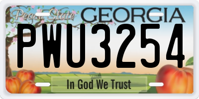 GA license plate PWU3254
