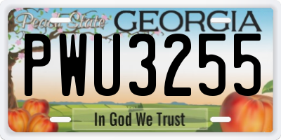 GA license plate PWU3255