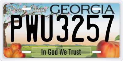 GA license plate PWU3257