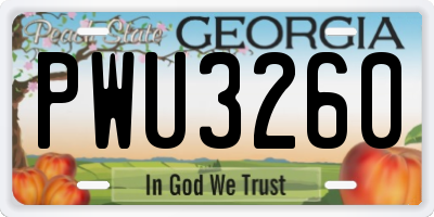 GA license plate PWU3260