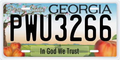 GA license plate PWU3266