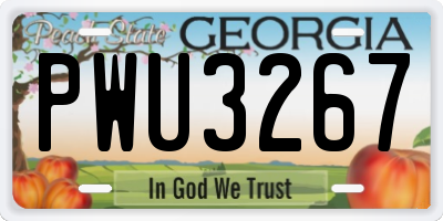 GA license plate PWU3267