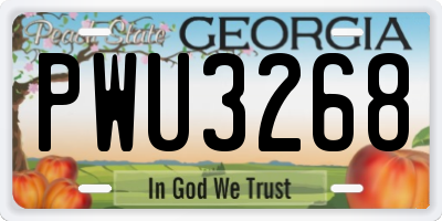 GA license plate PWU3268