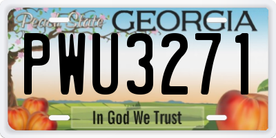 GA license plate PWU3271