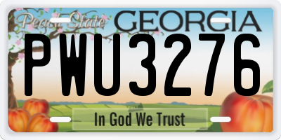 GA license plate PWU3276