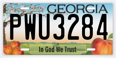 GA license plate PWU3284