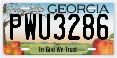 GA license plate PWU3286