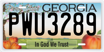 GA license plate PWU3289