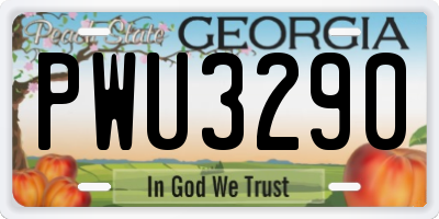 GA license plate PWU3290
