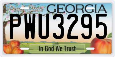GA license plate PWU3295
