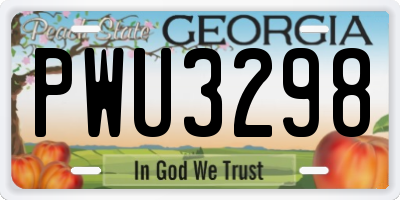 GA license plate PWU3298