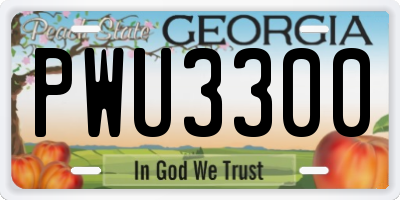 GA license plate PWU3300