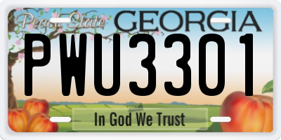 GA license plate PWU3301