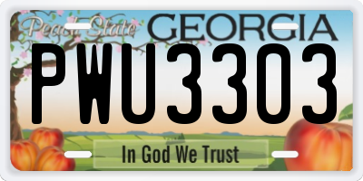 GA license plate PWU3303