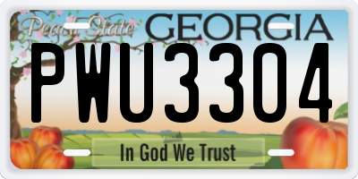 GA license plate PWU3304