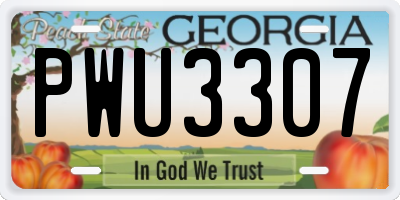 GA license plate PWU3307