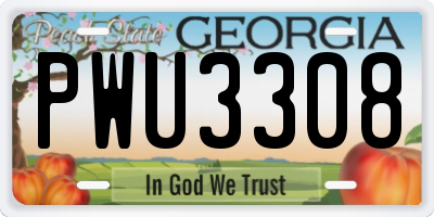 GA license plate PWU3308