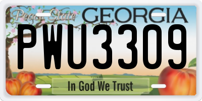 GA license plate PWU3309