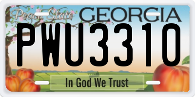 GA license plate PWU3310