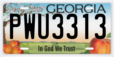 GA license plate PWU3313