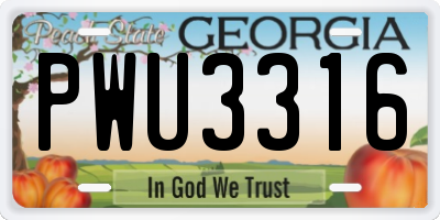 GA license plate PWU3316