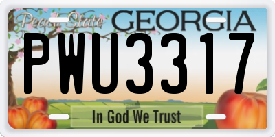 GA license plate PWU3317