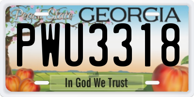 GA license plate PWU3318